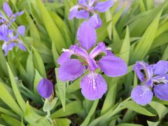 -汉长安城未央宫国家考古遗址公园