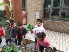 -东方剑桥幼儿园