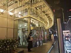 -羲和雅苑•北京烤鸭(国贸商城店)