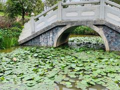-美的鹭湖森林度假区