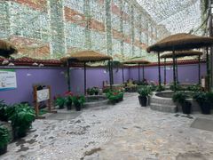 -兴芮温泉度假区