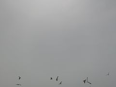 -黑石礁公园