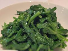 五粮液嫩豆苗-玫瑰厅上海菜(兴国路店)