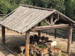 -青藏高原野生动物园