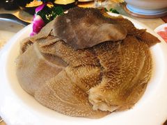 -五星桥原切肥牛火锅(怀德桥店)