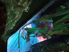 -沈阳海洋探索中心