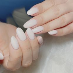 -BELLAREAL新美社