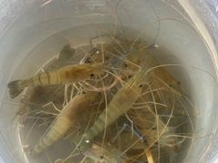 -粮心小农·大头虾亲子生态园(长发店)