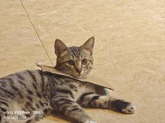 -逃脱反斗城沉浸剧情密室(北京路店)