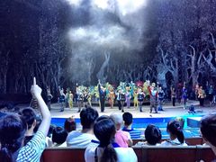 iphone_upload_pic-灵玲国际马戏城