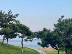-青岛海滨风景区