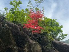 -咬不得高祖生煎·简餐(金逸影城店)