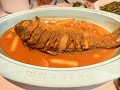 -阿五黄河大鲤鱼(英协路店)