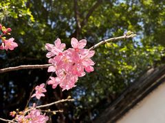 -乌山风景区