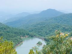 -广州白江湖森林公园