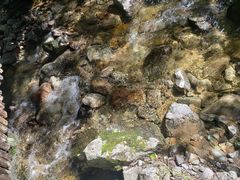 -青峰峡国家森林公园