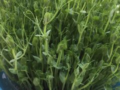 -好彩猪肚鸡(正弘城店)