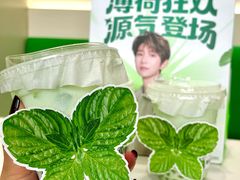 -友谊阳光城