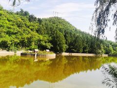 -静之湖度假区