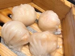 虾饺皇-正斗·港式粤菜(SKLP店)