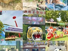 -栾川竹海野生动物园