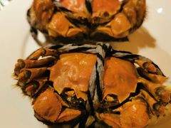 -上海东方佘山翰悦阁酒店·Vie全日制餐厅