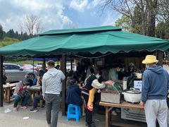 -武陵山森林公园