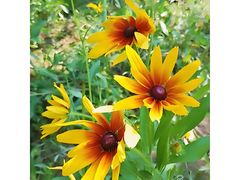 -四里河滨水生态公园