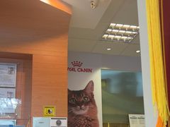 -瑞派申生动物医院·24H夜诊·国际动物医疗中心·骨外科(吴中路店)