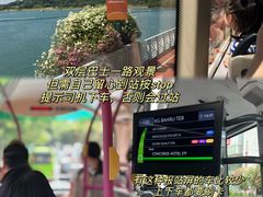 -新加坡乌节希尔顿酒店 (SG Clean)