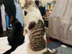 -85度C(上海周浦店)