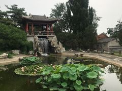 -国家植物园南园