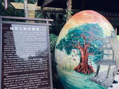 -西双版纳原始森林公园