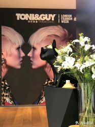 -TONI&GUY