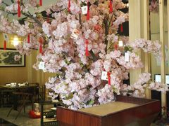 -新廊桥(原科华廊桥店)