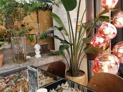 -PlantsEatery·植物食堂(REX春熙店)