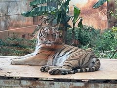 -昆明动物园