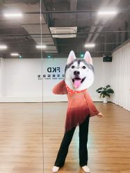 -防空洞舞蹈·瑜伽