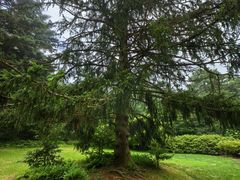 -庐山风景区花径公园