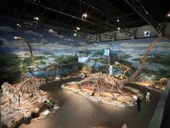 -自贡恐龙博物馆