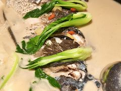 -7017浙菜•建德味(中财店)