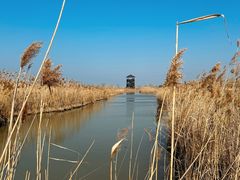 -盐城丹顶鹤湿地生态旅游区