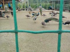 -韶关经律论国际酒店温泉