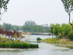 -东郊湿地公园