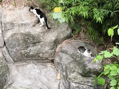 -晓港公园