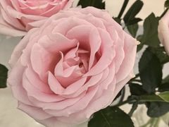 -摩登百货(岗顶店)