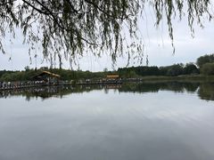 -溱湖国家湿地公园