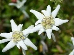 -金堂县云顶石城风景区