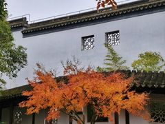 -秋霞圃