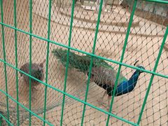 -武汉紫薇都市田园